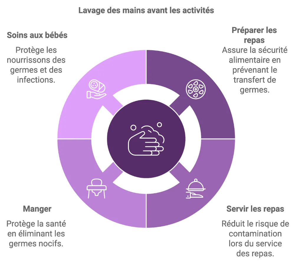 laver mains au savon avant Diagramme du cycle des habitudes alimentaires.